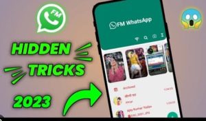 A Closer Look at FM WhatsApp's File Sharing Capabilities